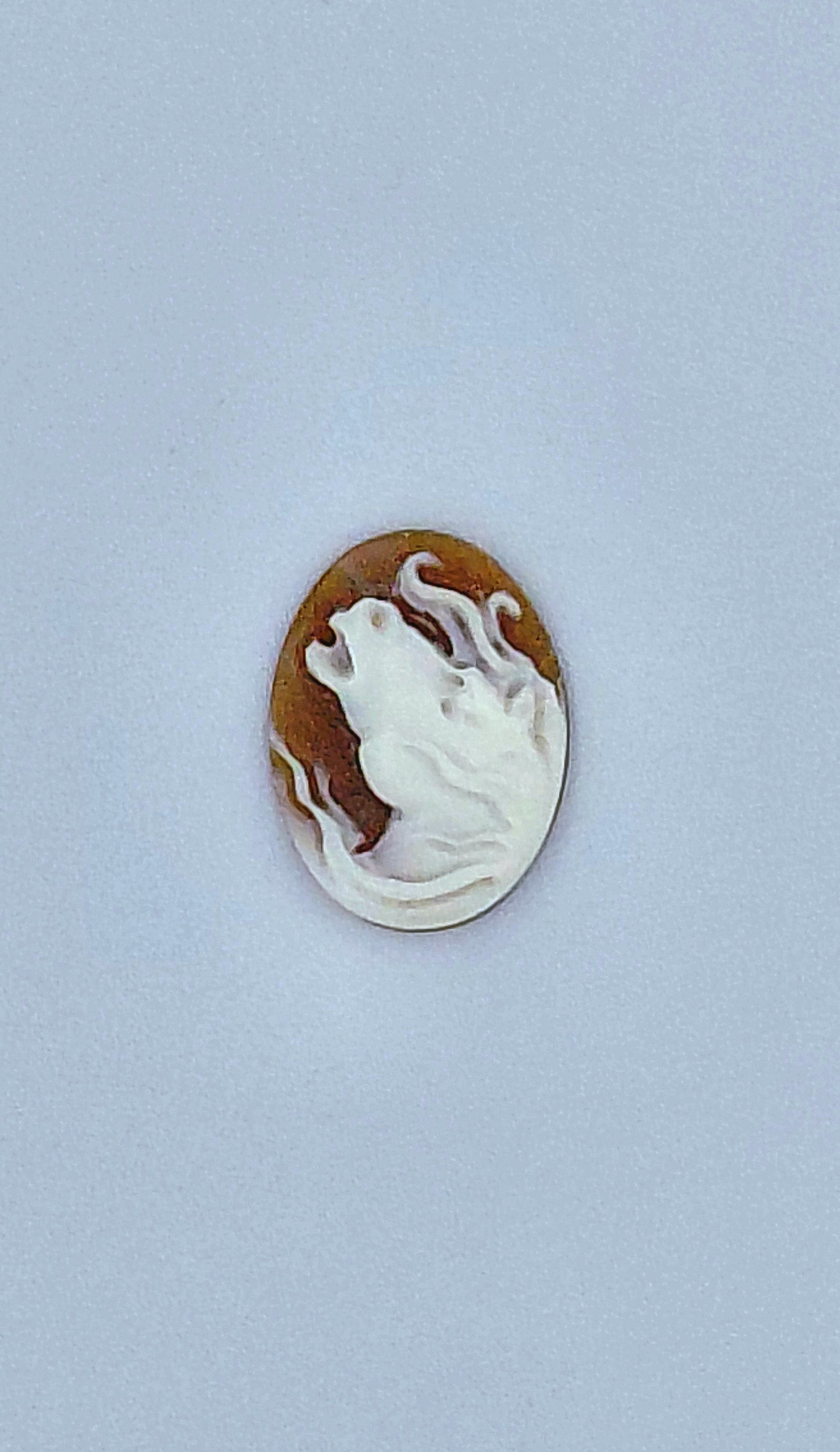 CAMMEO " TESTA CAVALLO 1" CONCHIGLIA SARDONICA FORMA OVALE