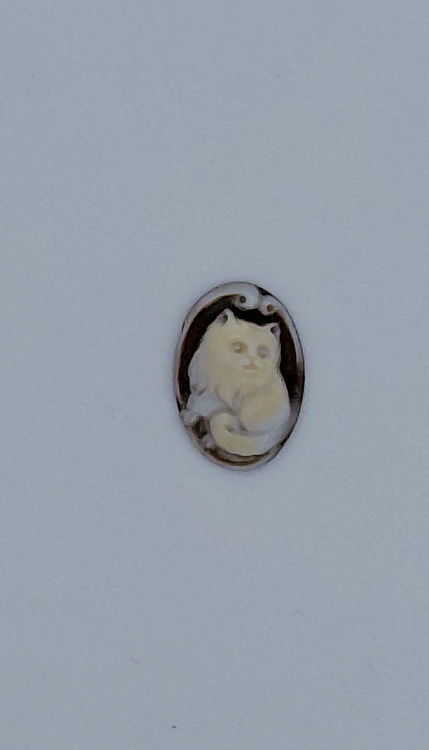 CAMMEO "GATTINO "CONCHIGLIA SARDONICA FORMA OVALE