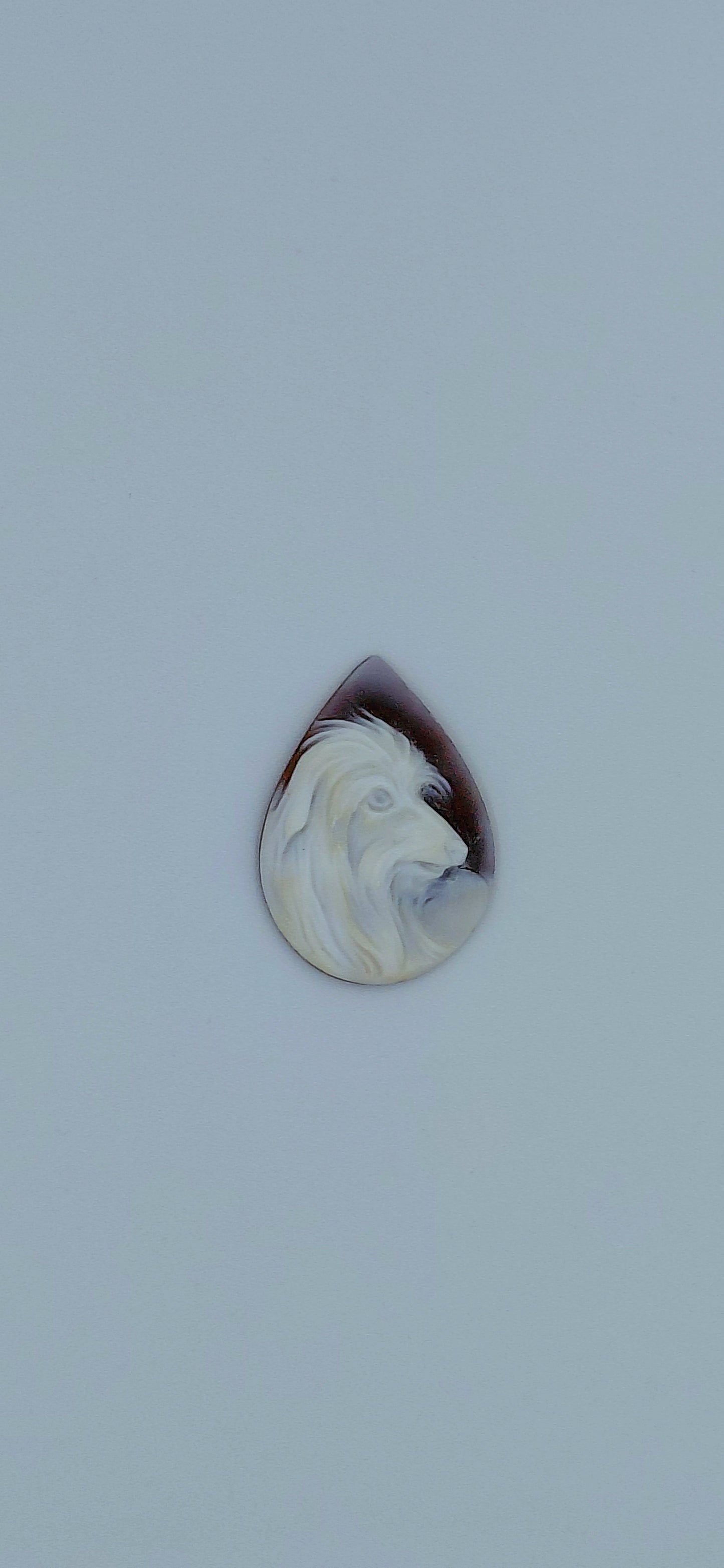 CAMMEO "CANE A PELO LUNGO 2 "CONCHIGLIA SARDONICA