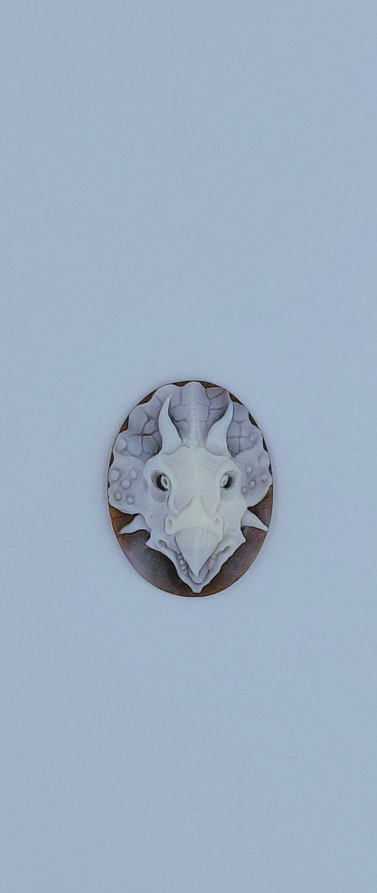 CAMMEO "DINOSAURO TRICERATOPO " CONCHIGLIA SARDONICA