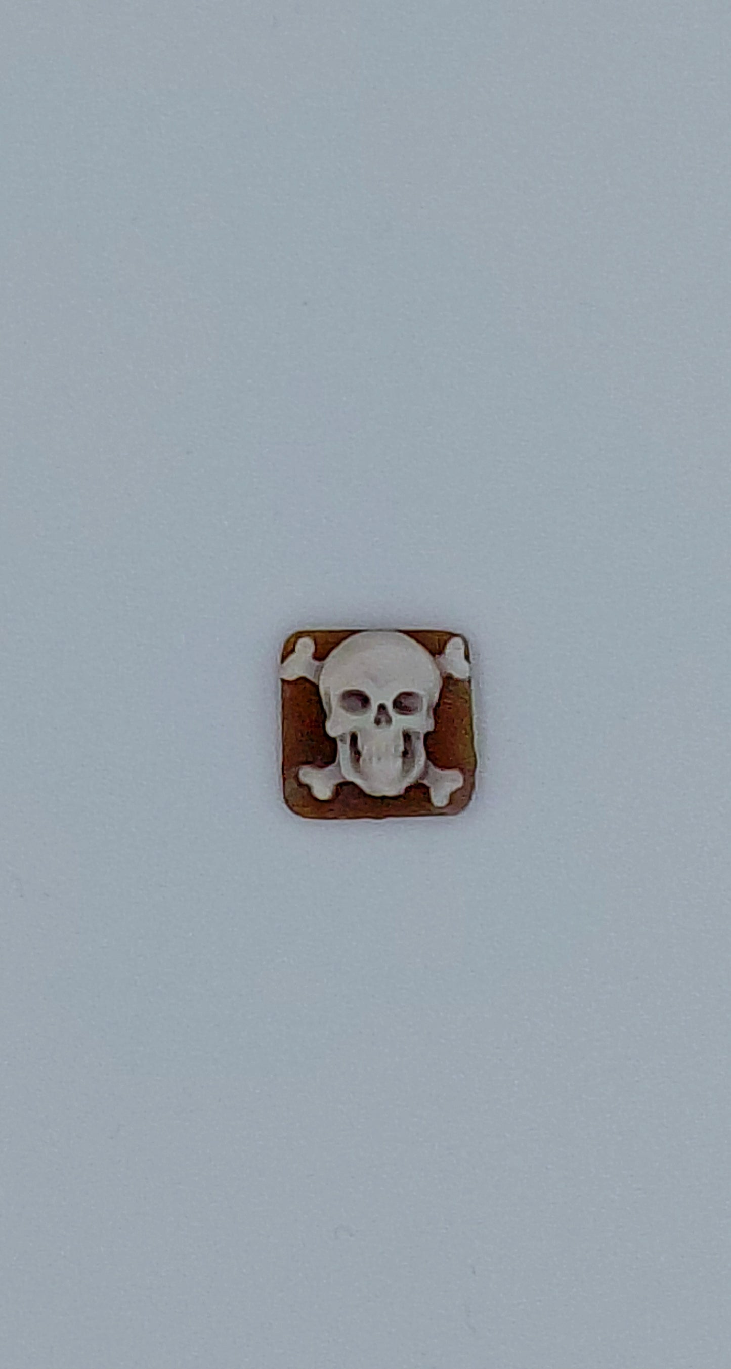 CAMMEO "TESCHIO PIRATA 1 "CONCHIGLIA SARDONICA