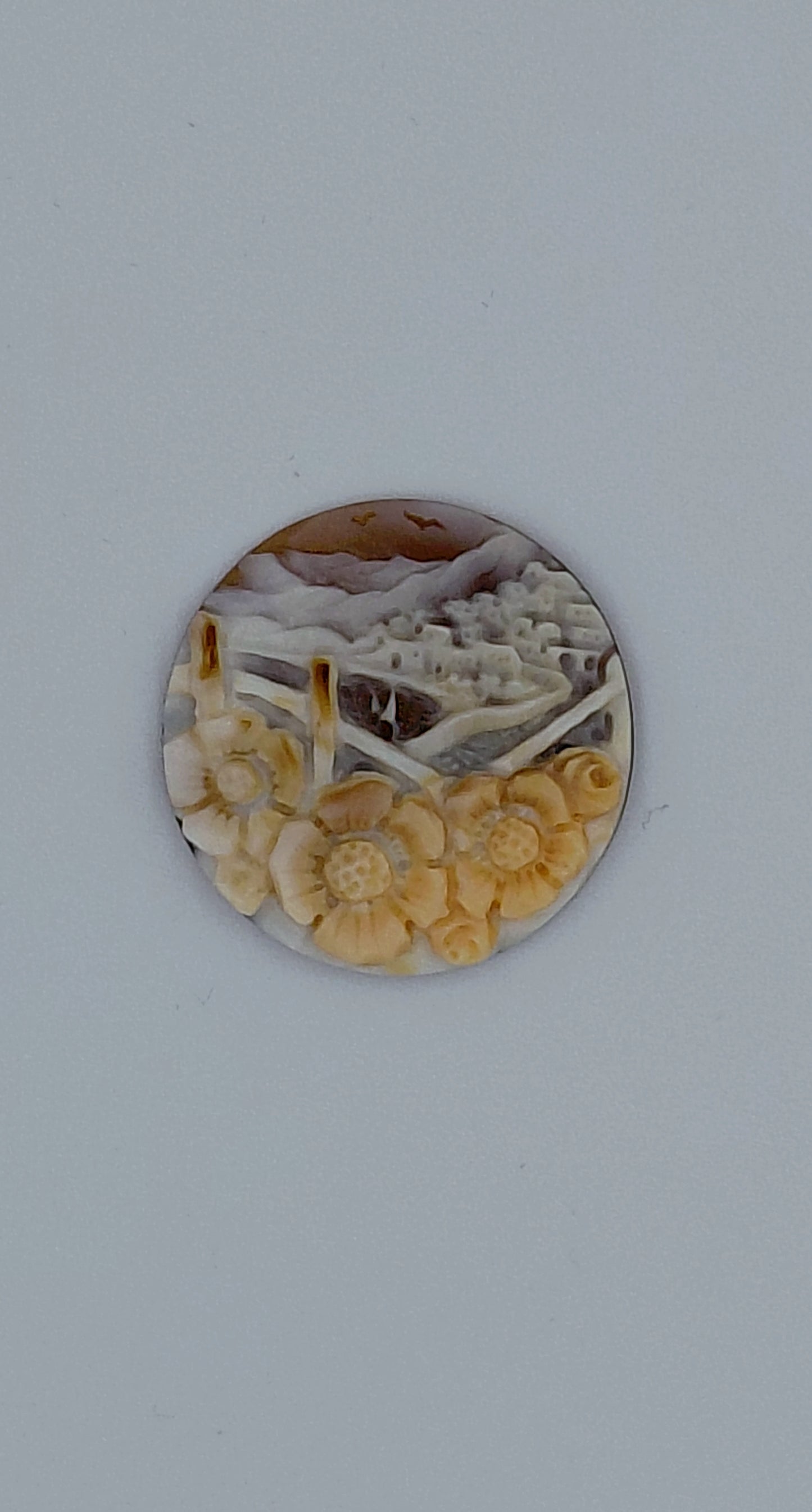CAMMEO "PICCOLO PAESAGGIO "CONCHIGLIA SARDONICA