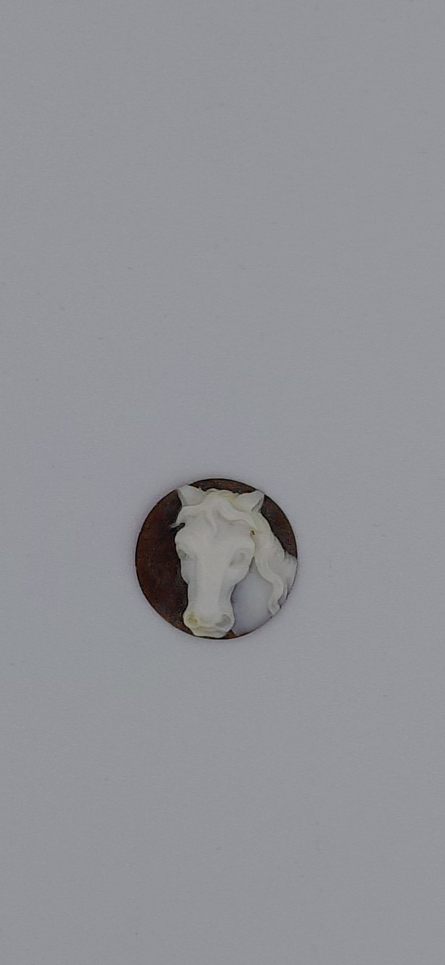 CAMMEO " TESTA CAVALLO " FORMA ROTONDA CONCHIGLIA SARDONICA