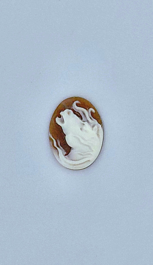 CAMMEO " TESTA CAVALLO 1" CONCHIGLIA SARDONICA FORMA OVALE