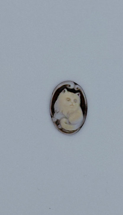 CAMMEO "GATTINO  "CONCHIGLIA SARDONICA FORMA OVALE