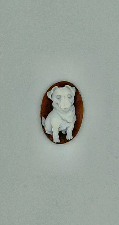 CAMMEO " JACK RASSELL TERRIER  CON SCIARPA " CONCHIGLIA SARDONICA