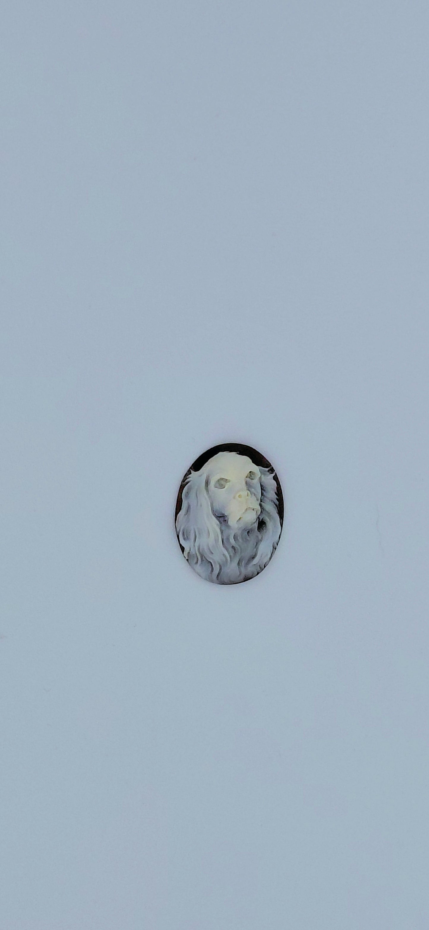 CAMMEO " CANE COCKER SPANIEL " CONCHIGLIA SARDONICA