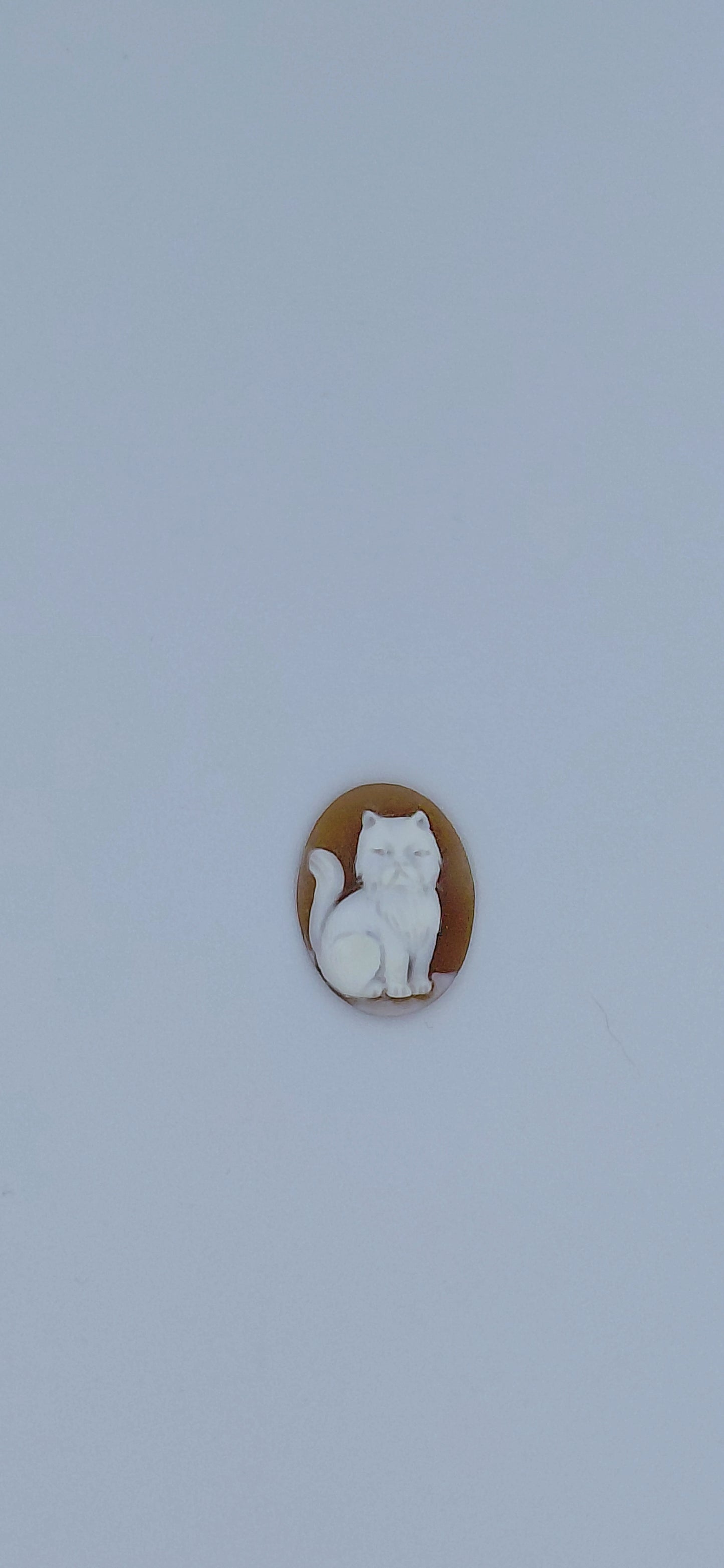 CAMMEO " GATTO SEDUTO "CONCHIGLIA SARDONICA