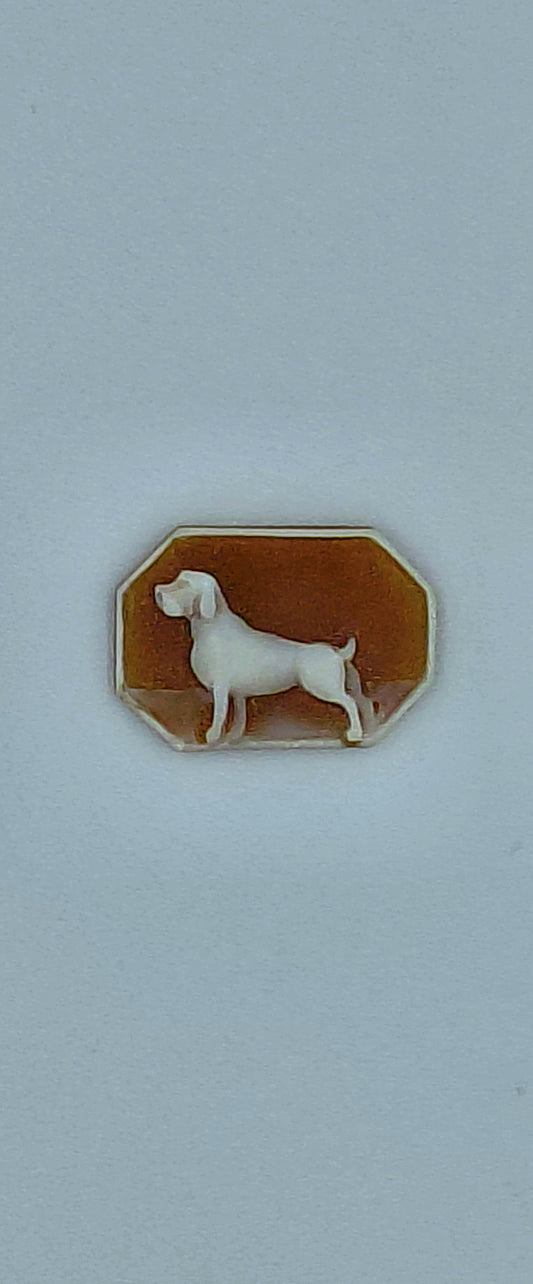 CAMMEO "CANE DI CACCIA " CONCHIGLIA SARDONICA