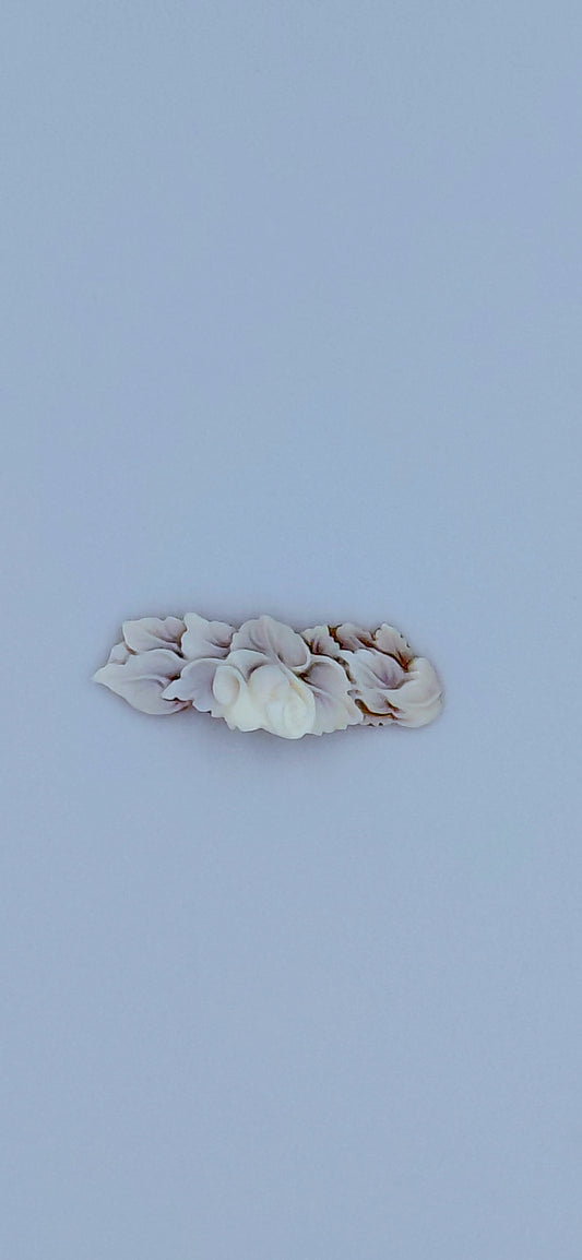 CAMMEO "TRAGHETTA ROSA E FOGLIE "CONCHIGLIA SARDONICA