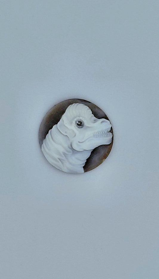 CAMMEO "DINOSAURO BRANCHIOSAURO " CONCHIGLIA SARDONICA rotonda