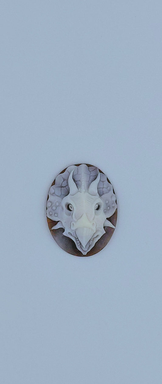 CAMMEO "DINOSAURO TRICERATOPO " CONCHIGLIA SARDONICA