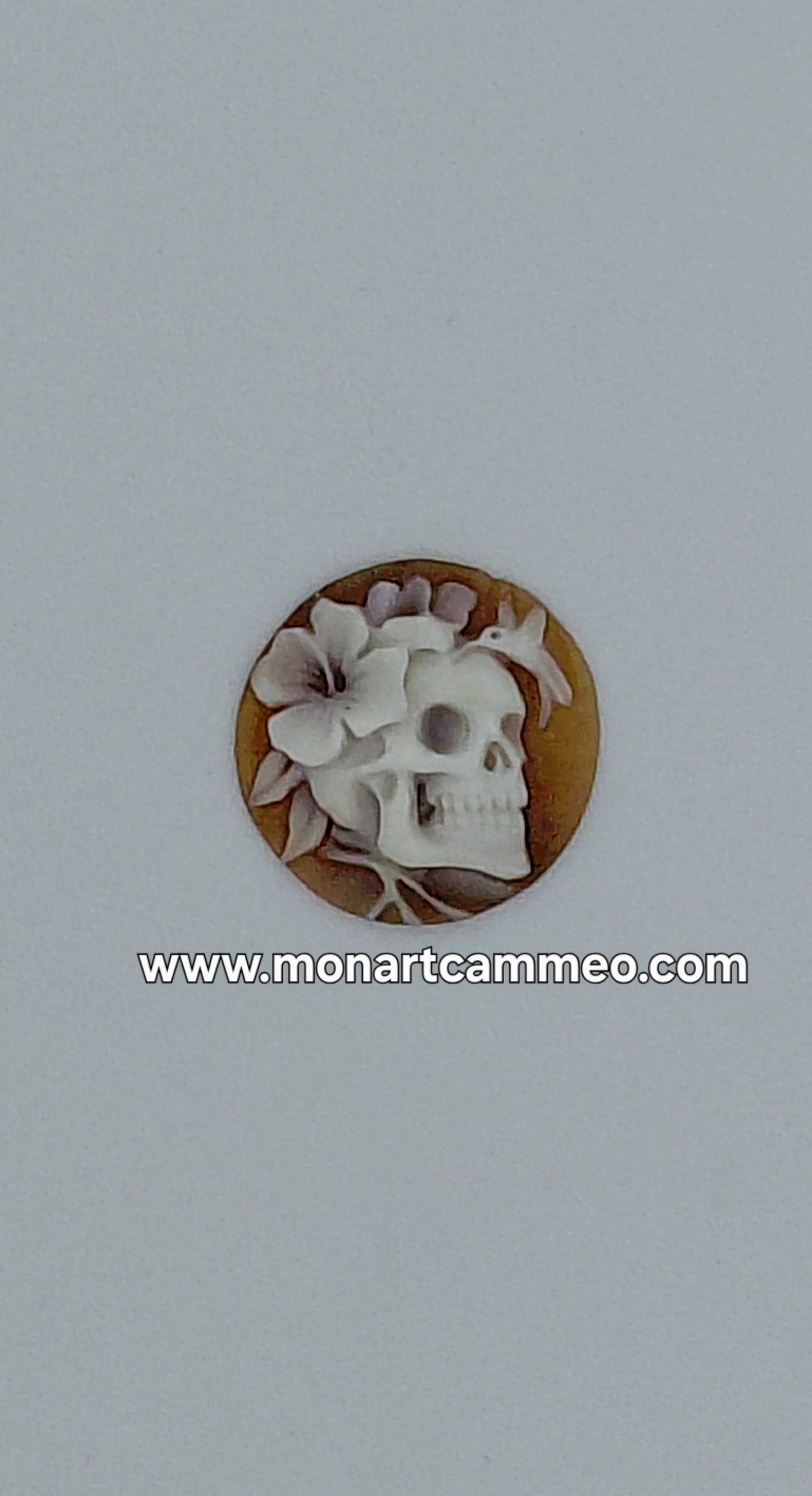 cammeo teschio con fiore e colibri conchiglia sardonica misura 17,5mm