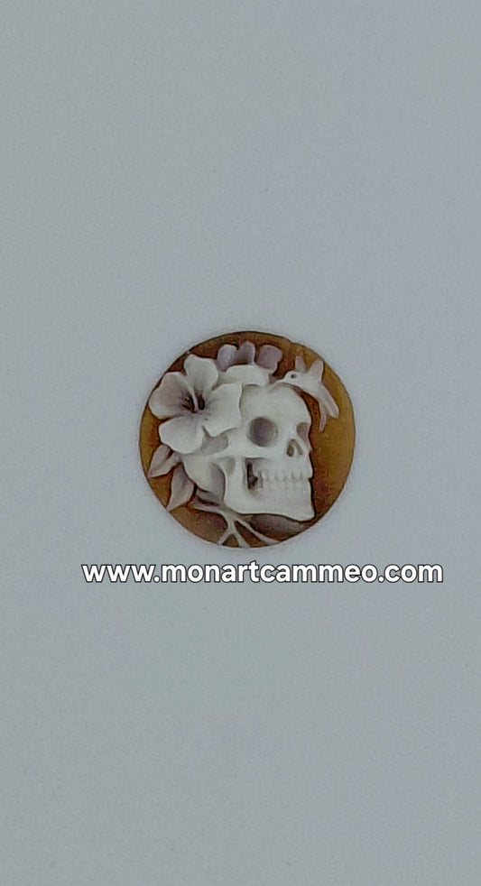 cammeo teschio con fiore e colibri conchiglia sardonica misura 17,5mm