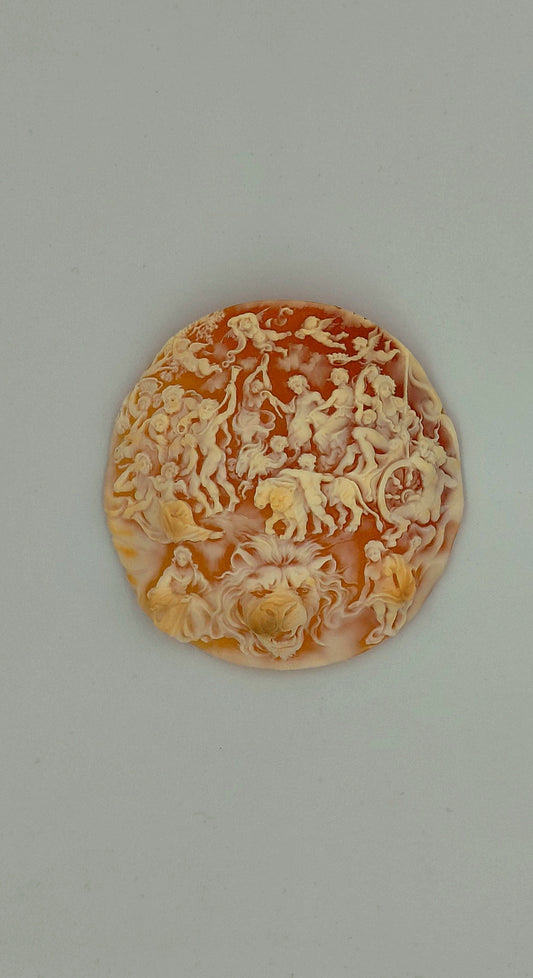 CAMMEO "TRIONFO DI BACCO E ARIANNA "CONCHIGLIA CORNEOLA