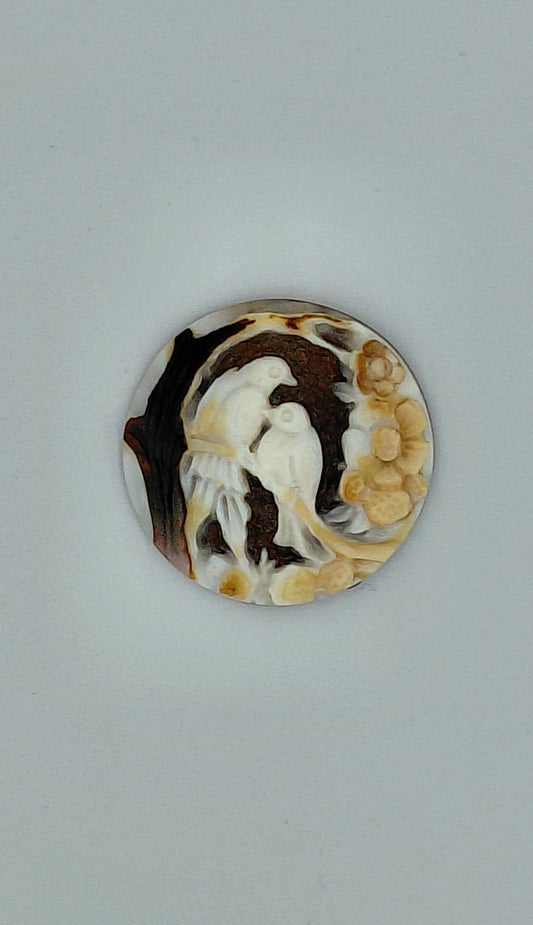 CAMMEO " UCELLI E FIORI " CONCHIGLIA SARDONICA