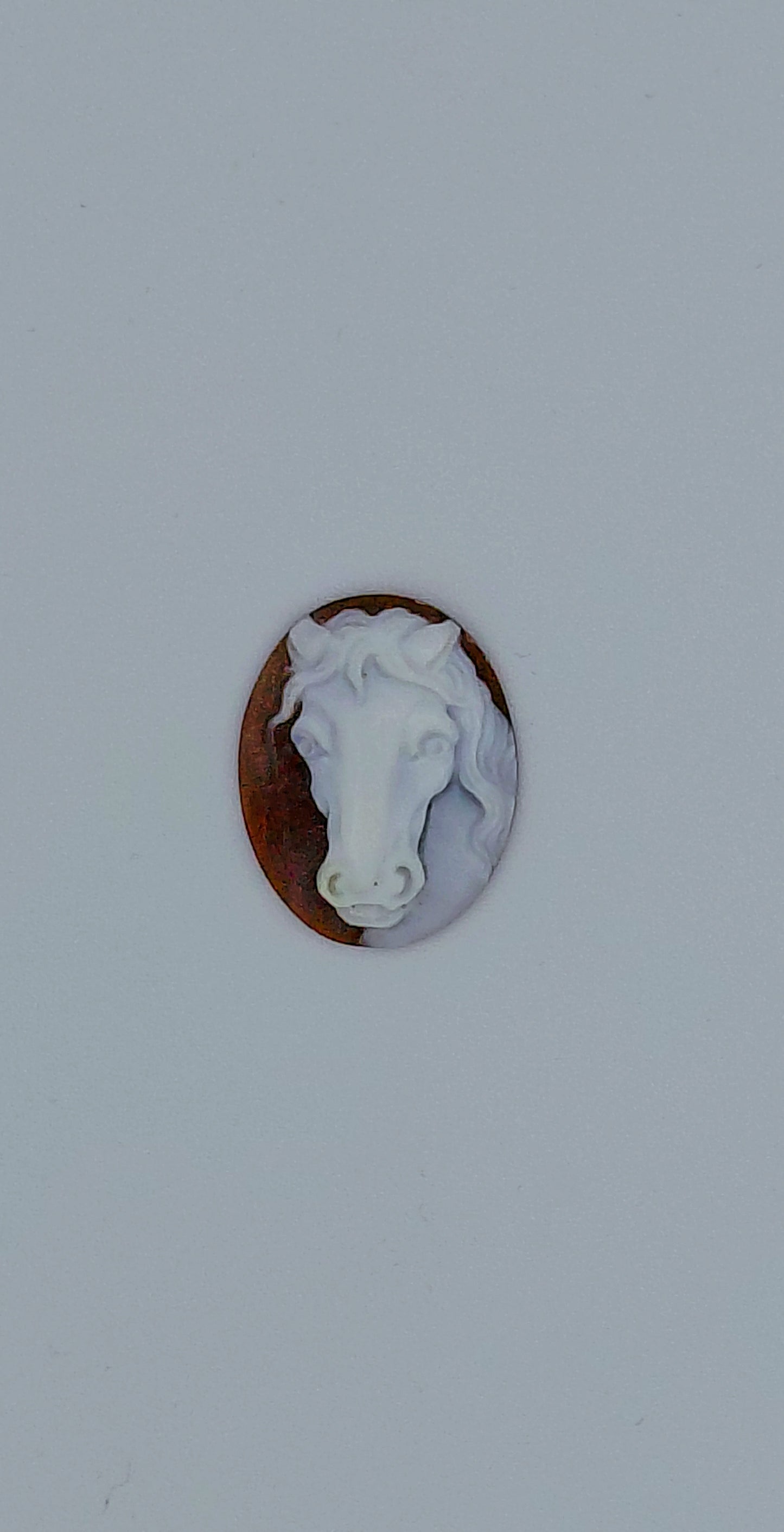 CAMMEO "TESTA CAVALLO " FORMA OVALE CONCHIGLIA SARDONICA