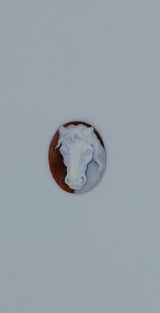 CAMMEO "TESTA CAVALLO " FORMA OVALE CONCHIGLIA SARDONICA