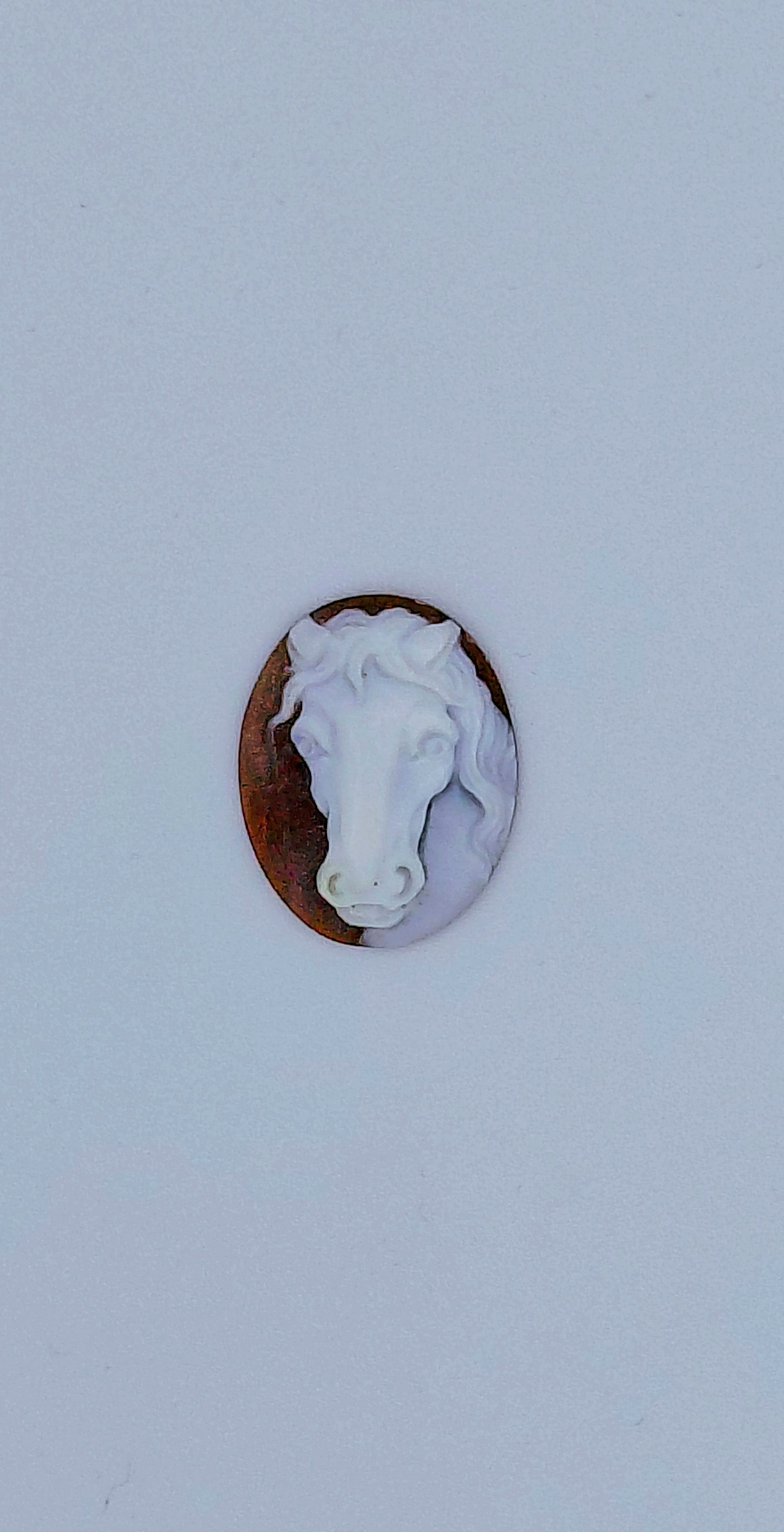 CAMMEO "TESTA CAVALLO " FORMA OVALE CONCHIGLIA SARDONICA