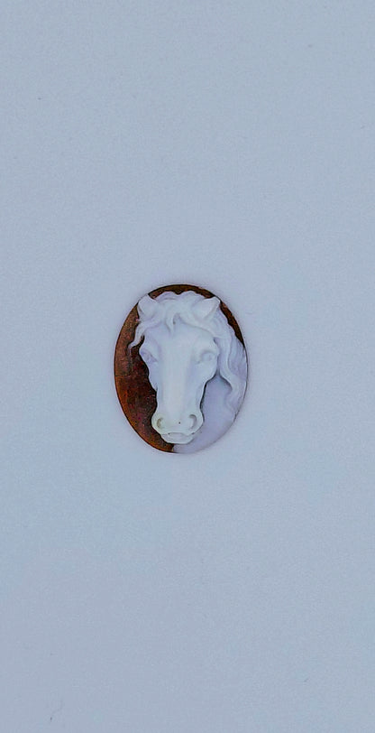 CAMMEO "TESTA CAVALLO " FORMA OVALE CONCHIGLIA SARDONICA