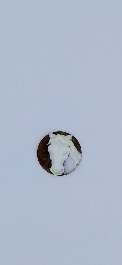 CAMMEO " TESTA CAVALLO " FORMA ROTONDA CONCHIGLIA SARDONICA