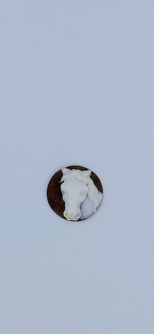 CAMMEO " TESTA CAVALLO " FORMA ROTONDA CONCHIGLIA SARDONICA